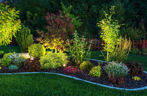 Landscape lighting danville